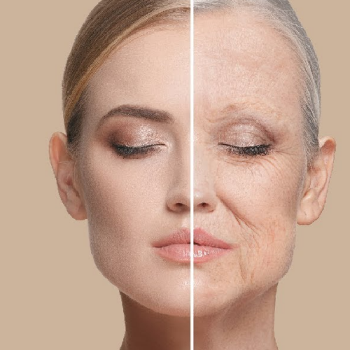 Kök Hücre Tedavisi